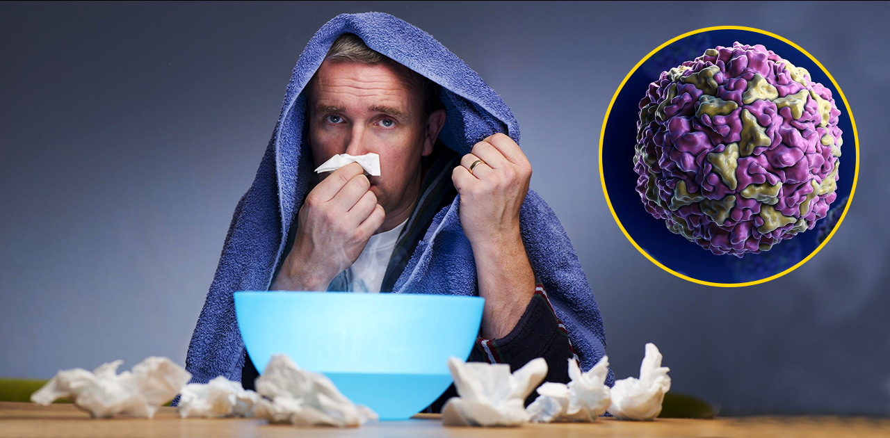 Common Cold–Symptoms, Treatments, Preventions